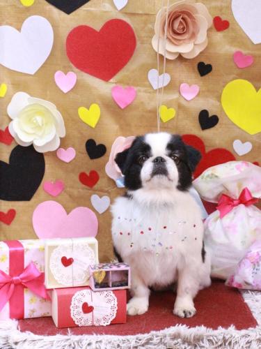 20230224大福くん